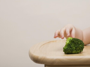 Estofado de brocoli y zapallo italiano con pavo Nestum® Avena y arroz