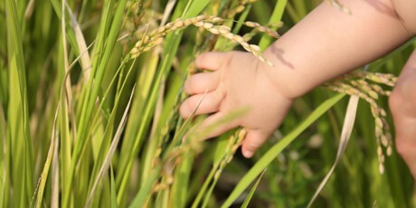 Carbonada Nestum® Arroz